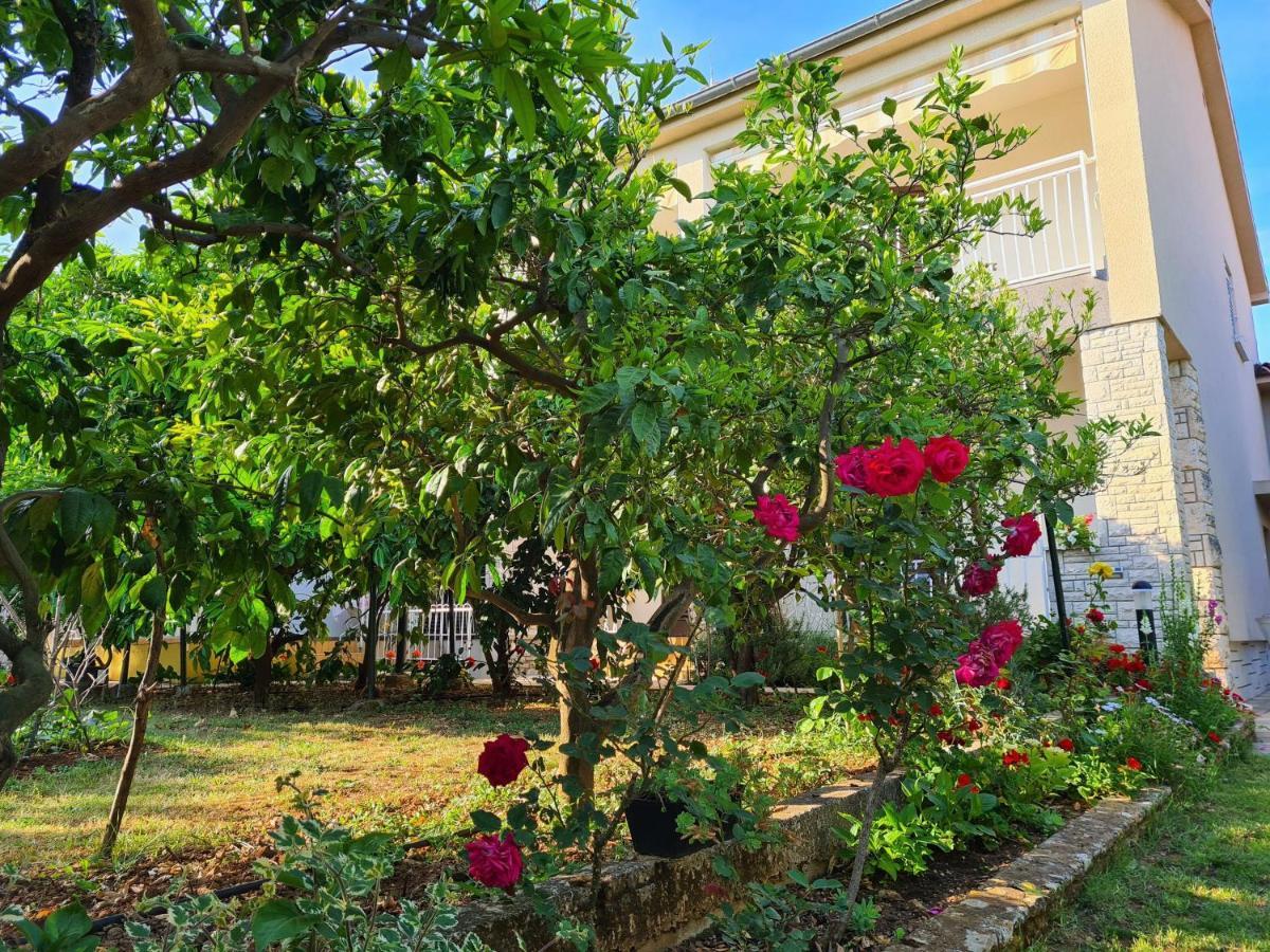 Apartments Ana Медулин Экстерьер фото
